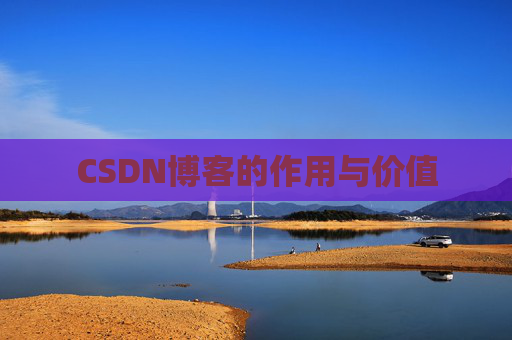 CSDN博客的作用与价值